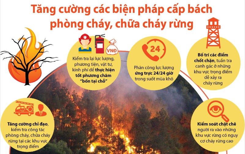  Tăng cường các biện pháp cấp bách phòng cháy, chữa cháy rừng